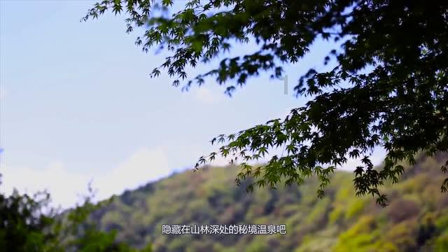 1月21日，重庆，气象台连发三预警，周一上班注意防范道路结冰